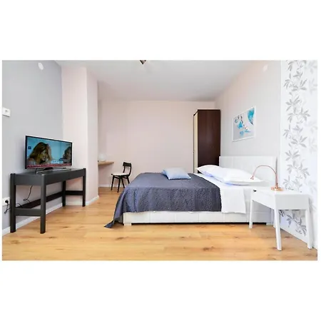Pet Friendly In With View 아파트